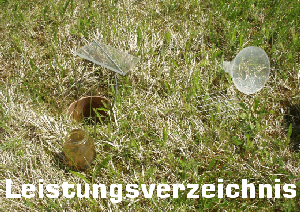 Forschung Leistungsverzeichnis